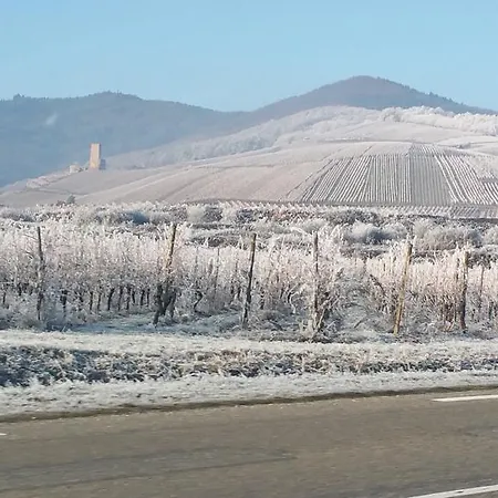 Au Bleuet * Kaysersberg-Vignoble